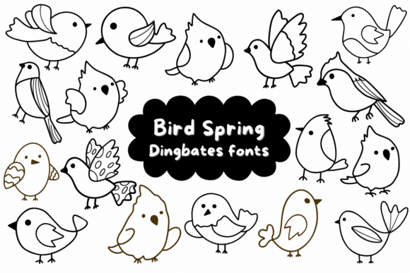 Bird Spring Font for Playful Web Design